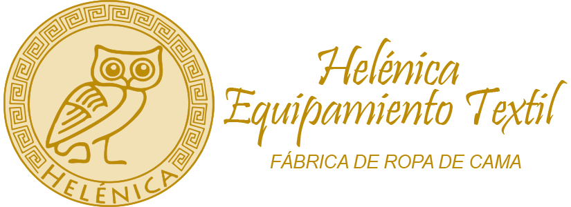 logo version web